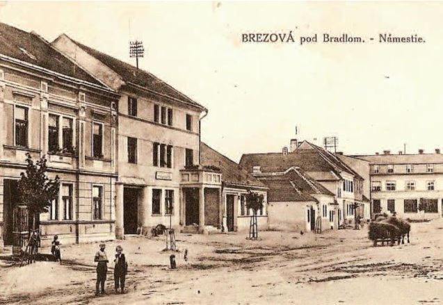 Penzion Tvarozek *** Brezova pod Bradlom ภายนอก รูปภาพ